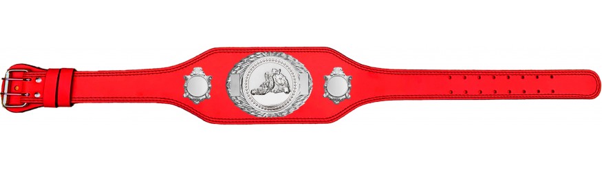 JIU JITSU CHAMPIONSHIP BELT-BUD295/S/JJS-4 COLOURS